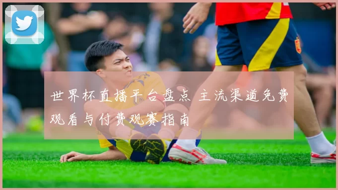 世界杯直播平台盘点 主流渠道免费观看与付费观赛指南