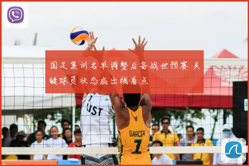 国足集训名单调整后备战世预赛 关键球员状态成出线看点