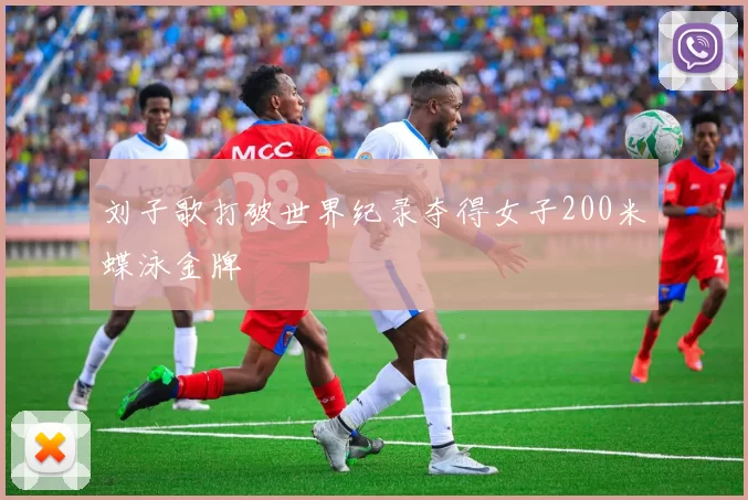 刘子歌打破世界纪录夺得女子200米蝶泳金牌