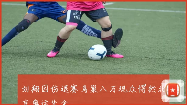 刘翔因伤退赛鸟巢八万观众愕然北京奥运失金